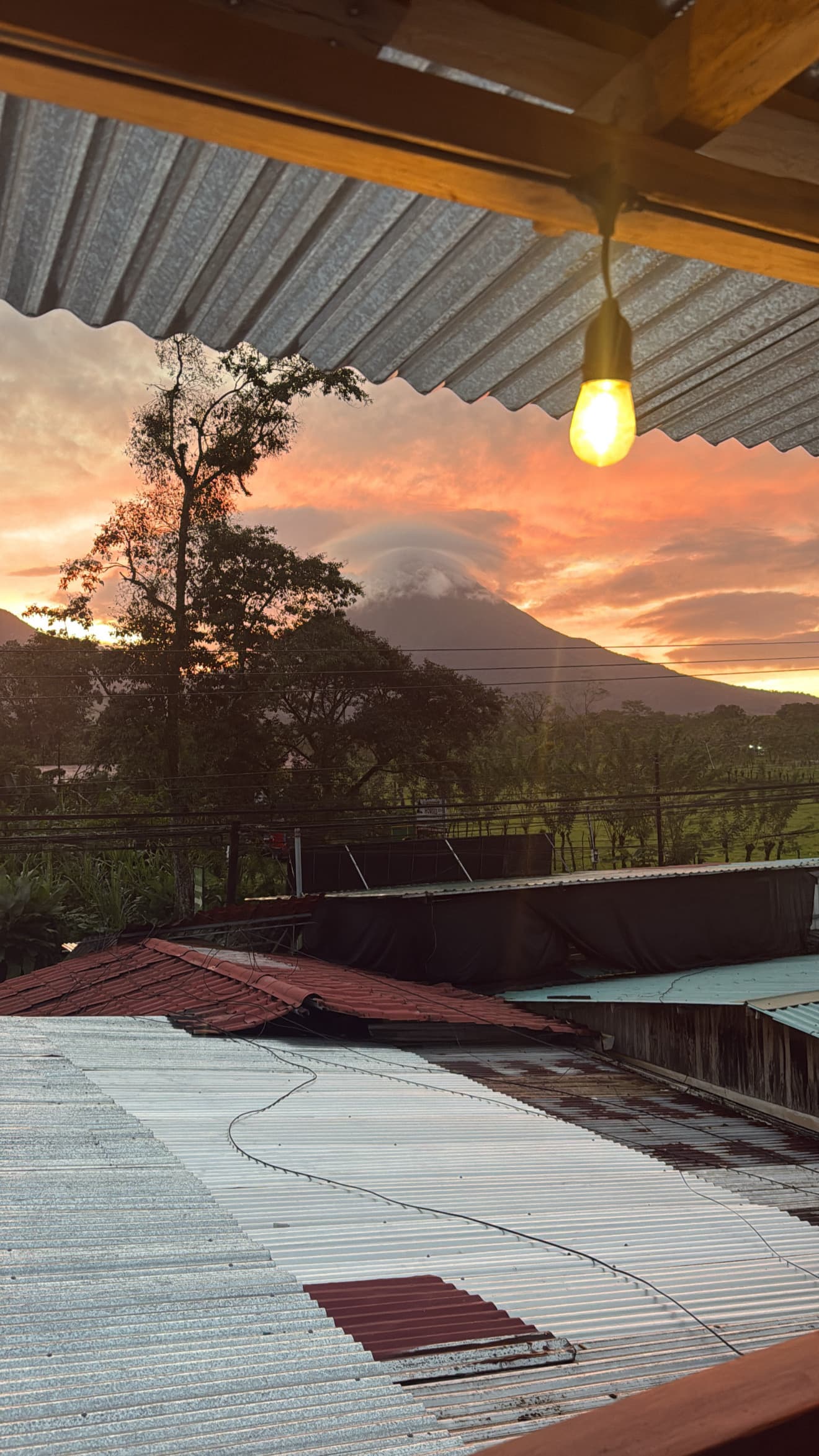 Historias de Blackout Hostel